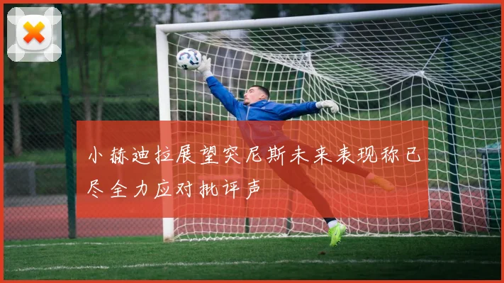 小赫迪拉展望突尼斯未来表现称已尽全力应对批评声
