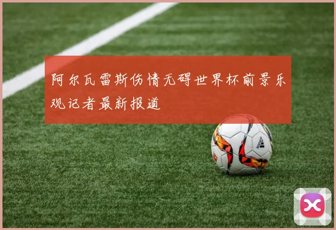 阿尔瓦雷斯伤情无碍世界杯前景乐观记者最新报道