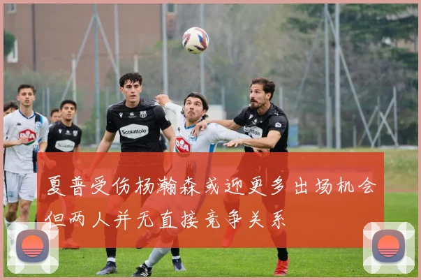 夏普受伤杨瀚森或迎更多出场机会但两人并无直接竞争关系